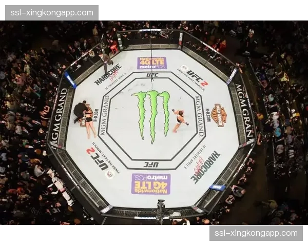 评论：数字赛编号突破300，UFC的赛事命名体系是否需要改革？